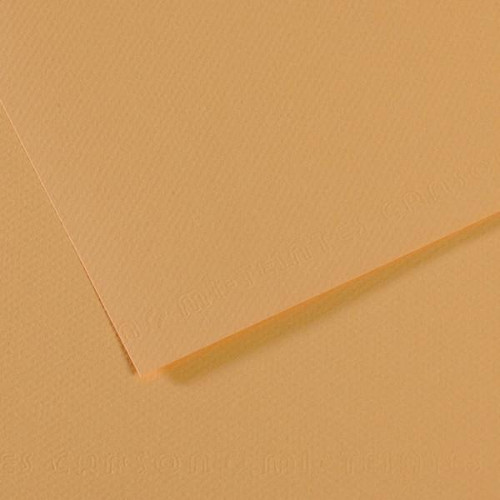 Canson - Mi-Teintes Paper Sheet - 19" x 25" - Oyster