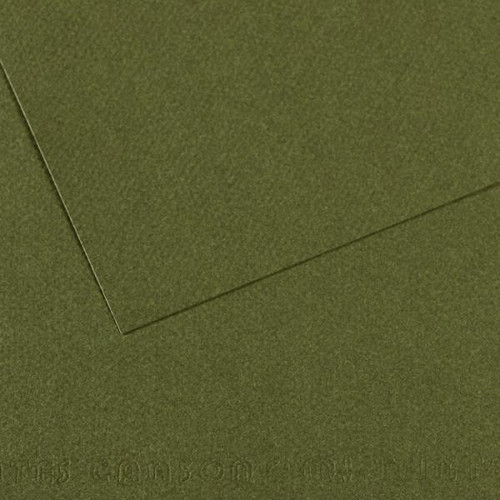 Canson - Mi-Teintes Paper Sheet - 19" x 25" - Ivy