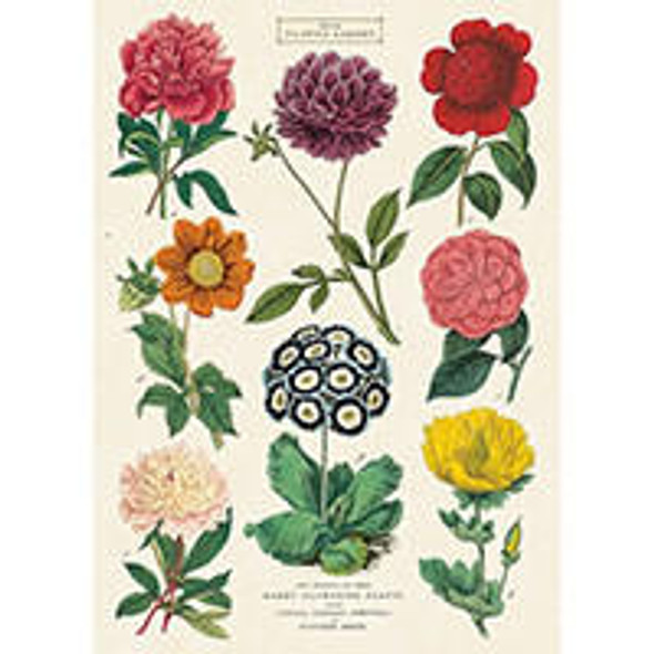 CAVALLINI PAPERS & CO., INC. Cavallini & Co. - Decorative Italian Paper - Botanica 2 