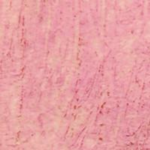 Williamsburg Handmade Oil Colors Williamsburg Oils Dianthus Pink 37mL