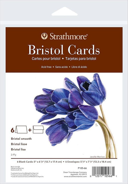 Strathmore Artist Papers Strathmore 400 Series Bristol Cards & Envelopes,  5" x 7", 6/pk 