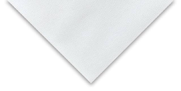  Canson XL Watercolor Sheet, 90lb , 22" x 30" 