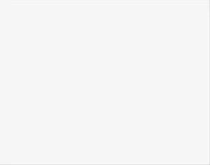 Queen City Paper Gloss Coat Board, White 18pt - 23" x 35"