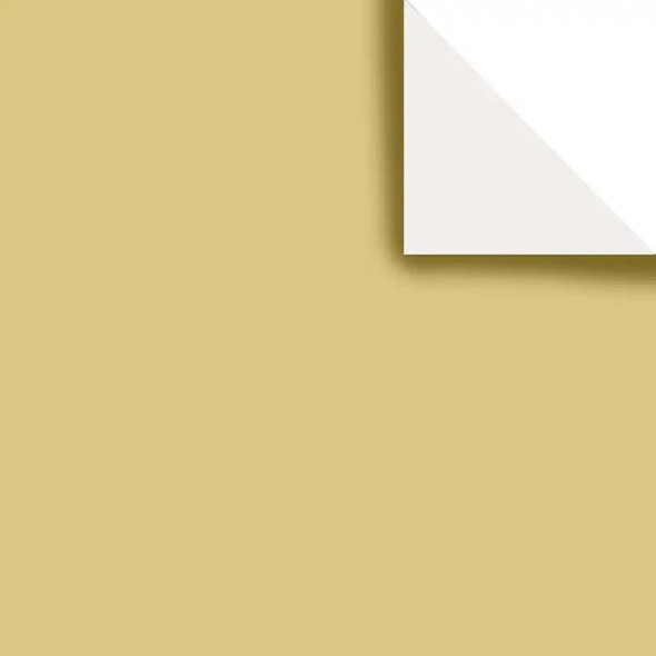  Jillson & Roberts Tissue Paper Pack, Solid Natural 