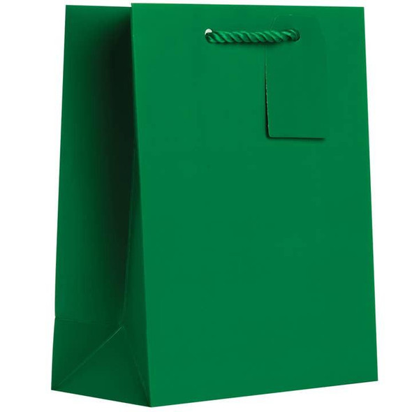  Jillson & Roberts Gift Bag, Medium, Solid Green 
