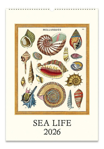  Cavallini & Co. 2026 Wall Calendar, Sea Life 