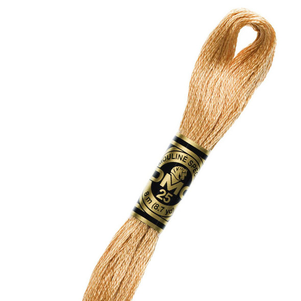  DMC Embroidery Floss, 437 Tan Light 