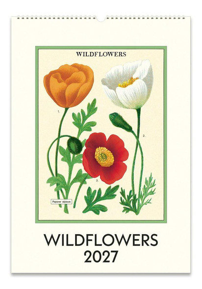 Cavallini & Co. 2027 Wall Calendar, Wildflowers