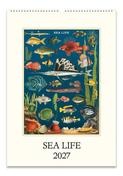 Cavallini & Co. 2027 Wall Calendar, Sea Life