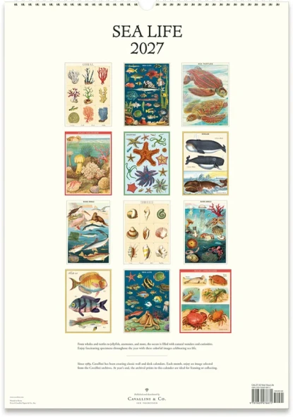 Cavallini & Co. 2027 Wall Calendar, Sea Life