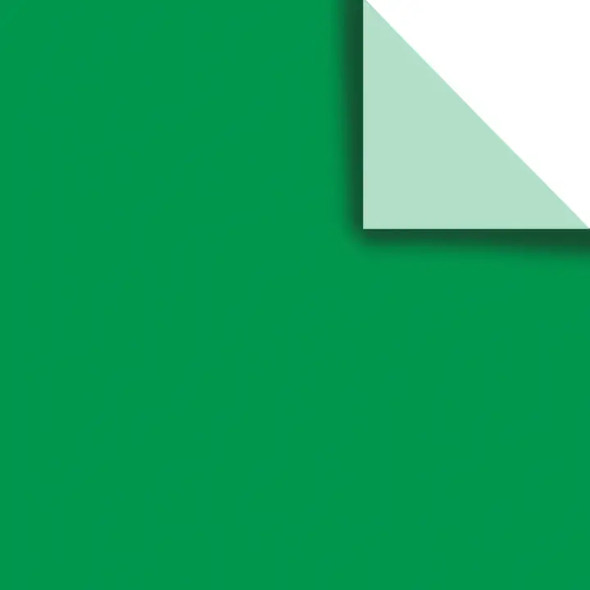Jillson & Roberts Tissue Paper Pack, Solid Green