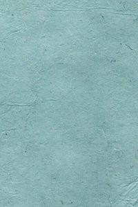 Aitoh Co Aitoh Lokta Decorative Paper, Dyed - Eucalyptus, 19.5"x29.5" 