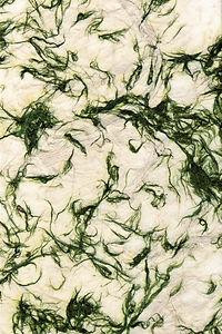 Aitoh Co Aitoh Nepalese Decorative Paper - Fiber Paper, Green, 19.5"x29.5" 