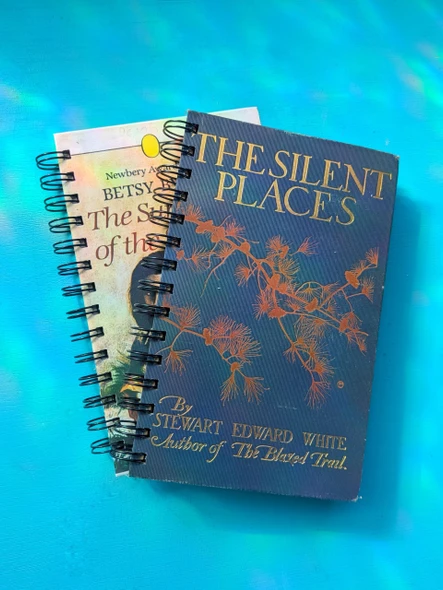  Attic Journals - Upcycled Library Book Cover Notebook, Assorted Hardcover, Blank, 75pg 