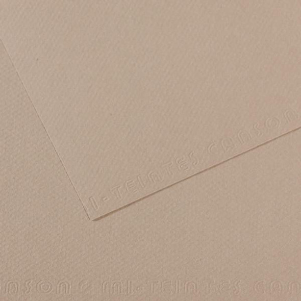 Canson - Mi-Teintes Paper Sheet - 19" x 25" - Flannel Gray