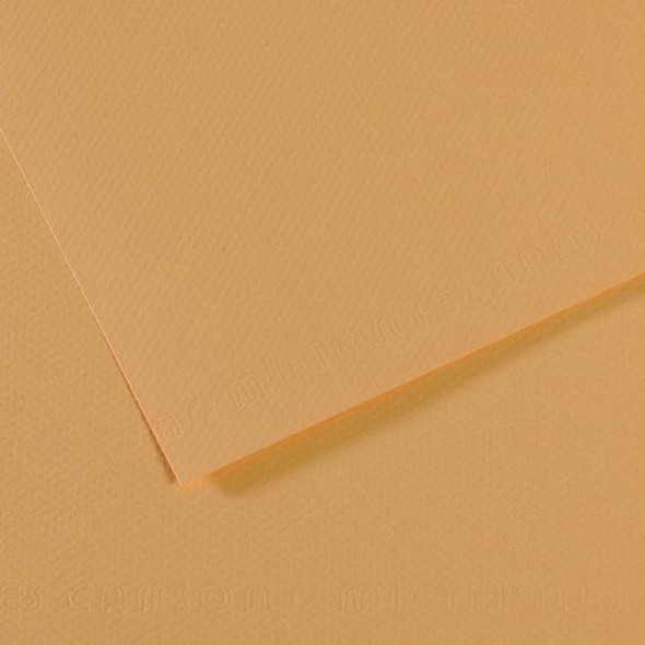 Canson - Mi-Teintes Paper Sheet - 19" x 25" - Oyster