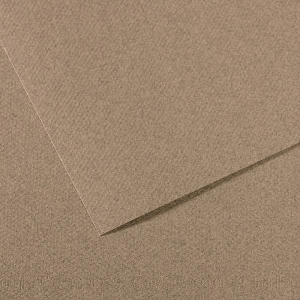 Canson - Mi-Teintes Paper Sheet - 19" x 25" - Steel Gray