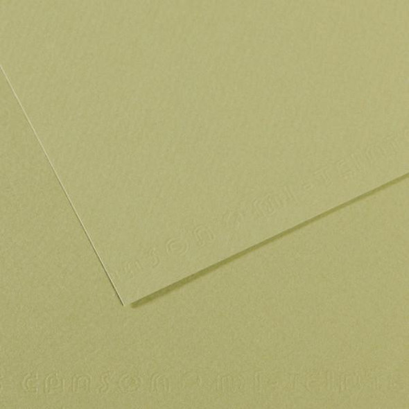 Canson - Mi-Teintes Paper Sheet - 19" x 25" - Light Green