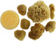 Artist Sponges