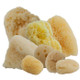 Natural Sea Sponges