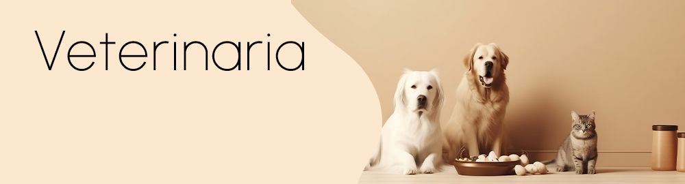 imagen veterinaria home