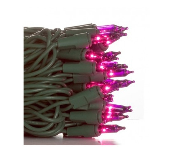 Cute Mini String Lights - Purple Dorm Room Decor Ideas for Girls First ...