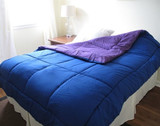 DormCo's Exclusive College Ave - Purple/Blue Reversible College Comforter - Twin XL