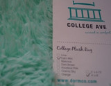College Plush Rug - Calm Mint