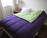 Colorful College Dorm Additions - Lime Green/Purple Reversible College Comforter - Twin XL