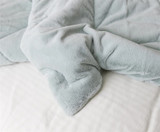 College Plush Comforter - Rain Mist - Twin XL - Sleep In Comfort