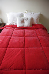 College Plush Comforter - Bright Pomegranate Red - Twin XL