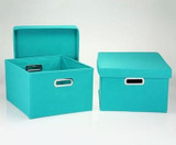 Color Cube Storage Bin - 2 Pack