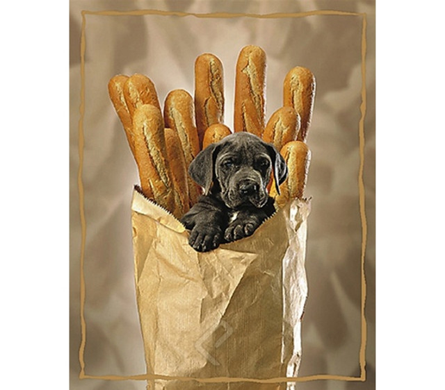 Stylish Puppy with Baguettes Poster Stylish Puppy with Baguettes Poster