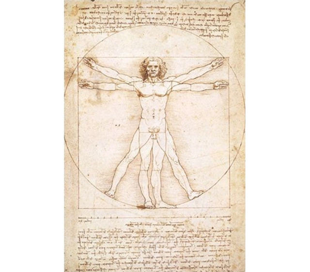 Famous Italian Artwork -Schema delle Proporzioni - Da Vinci Poster Essential Famous Italian Artwork -Schema delle Proporzioni - Da Vinci Poster Essential