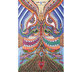 Alex Gray Tapestry Cool College Apartment Checklist Ideas Cheap Dorm Decor Orange Boho Hippie Aesthetic