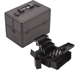 Great College Accessory - College Girl Cosmetic Case - 3 Tiers Black - Keeps Makeup Organized