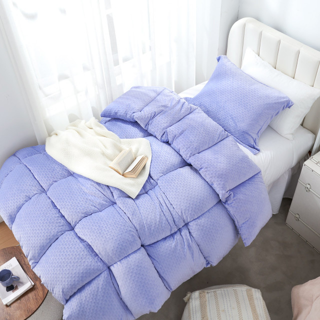 Crazy Thick - Coma Inducer® Twin XL Comforter Set - Baby Lavender