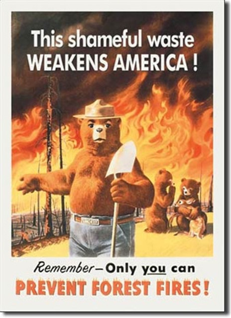 Tin Sign Dorm Room Decor smokey the bear college decorative wall art on tin sign for dorm rooms and apartments Tin Sign Dorm Room Decor smokey the bear college decorative wall art on tin sign for dorm rooms and apartments