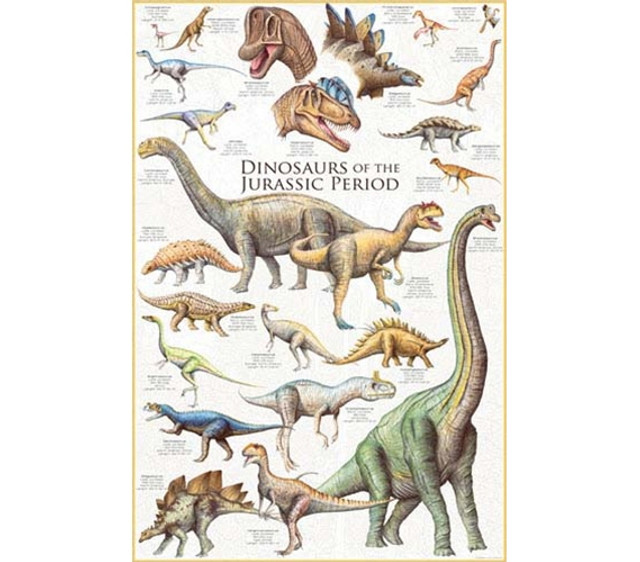 Awesome & Vibrant Dinosaurs of the Jurassic Period - Poster Essential