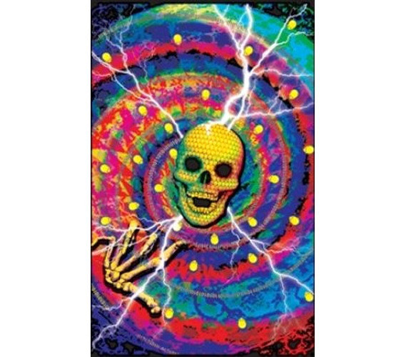 Add Color To Wall Decor For College - Cyber Junkie Poster - Crazy College Poster