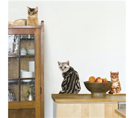 Cats & Mice - Peel N Stick