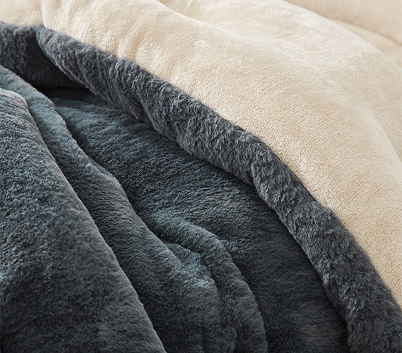 Gray and Beige Dorm Comforter Neutral Twin XL Bedding Set for College Student Must Have Supplies