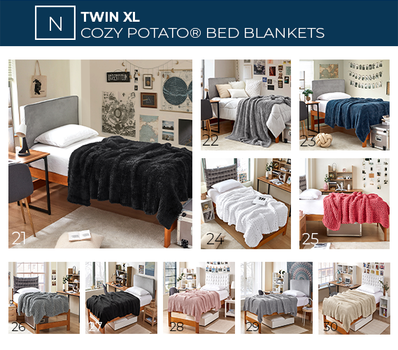 USD Starter Pack Plus