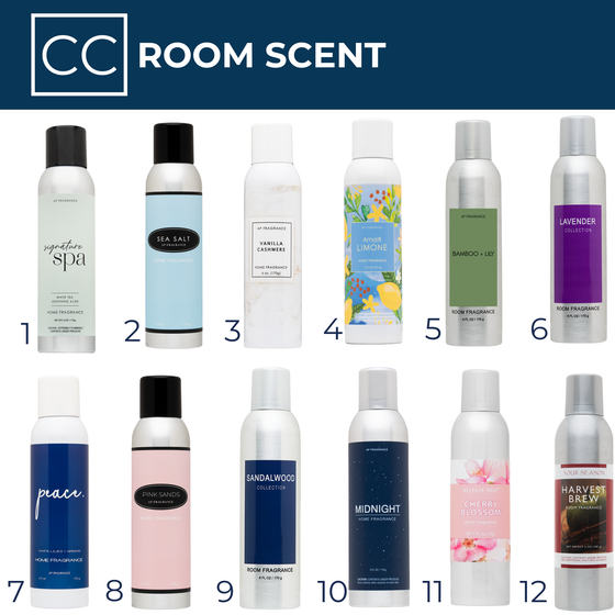 Natural Air Spray Make Dorm Smell Good College Survival Kit Freshman Year Must Haves Guys Apartment Supplies