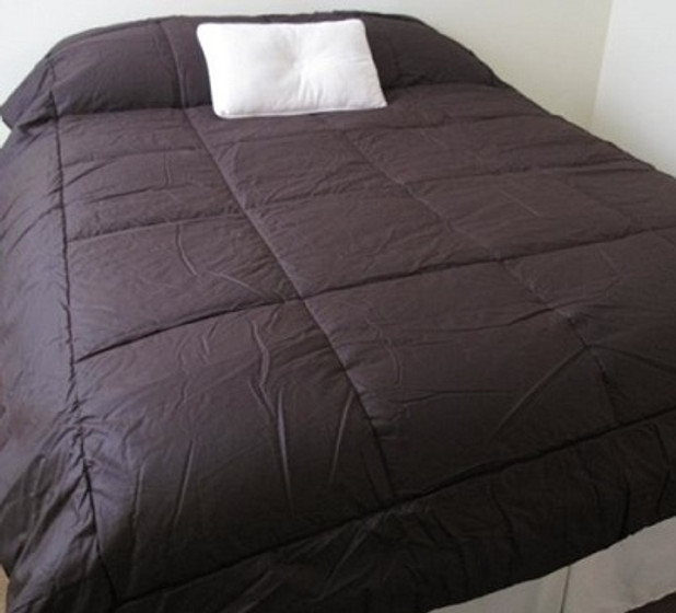 College Ave 100% Cotton Twin XL Comforter - Dark Java