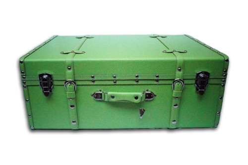 Useful College Item - Neon Lights College Trunk (Available in 3 Colors) - Stylish Dorm Luggage