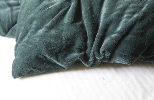 College Plush Comforter - Lush Jungle - Twin XL Dorm Room Bedding Supplies