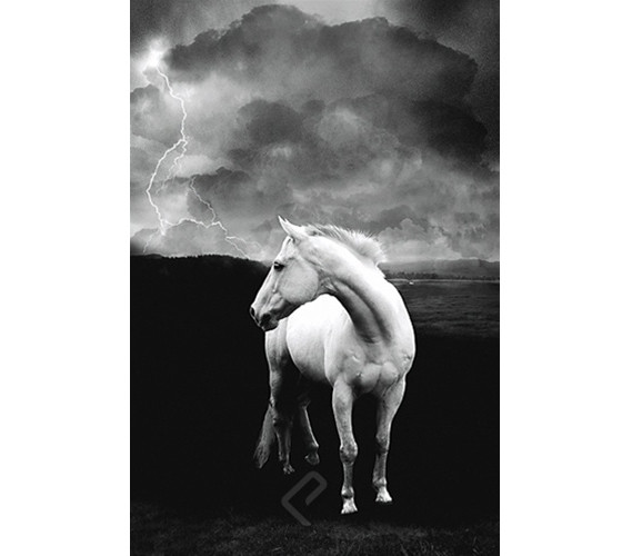 White Horse Art & Residence Hall Poster
