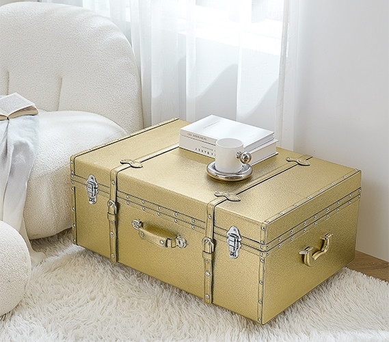 Cute College Apartment Decor Gold Dorm Accessories Space Saving Storage Trunk with Wheels