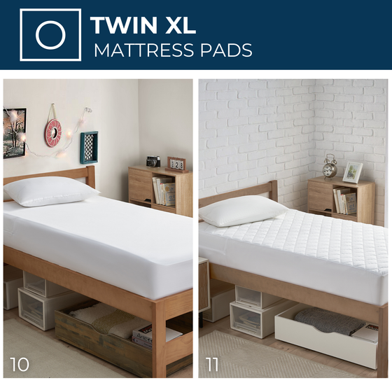 Dorm Room Starter Pack Plus